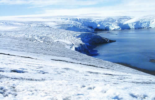 Resultado de imagen para ecosistemas desierto polar